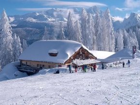 Apartment 14 Edelweiss Gosau Gosau